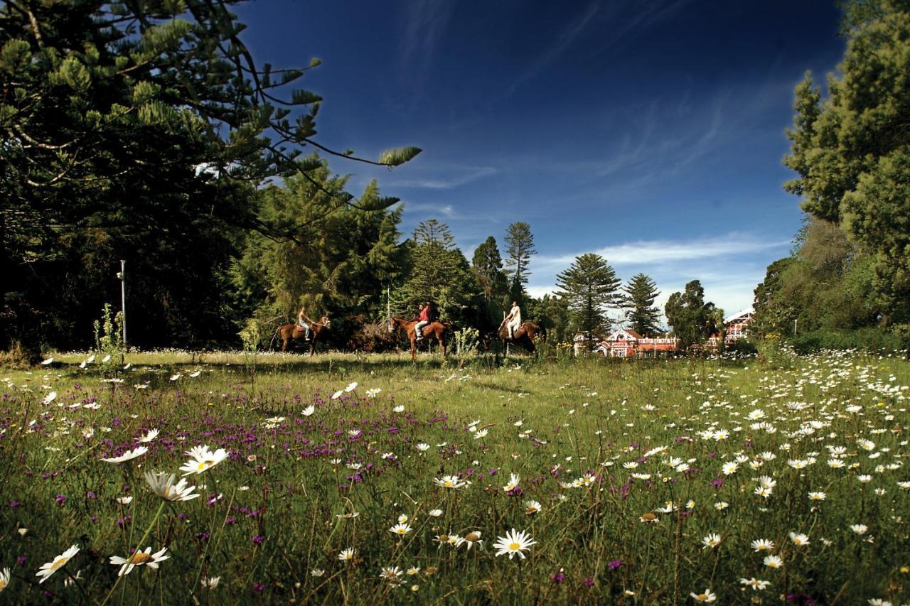 Welcomheritage Fernhills Royal Palace Ooty Dış mekan fotoğraf